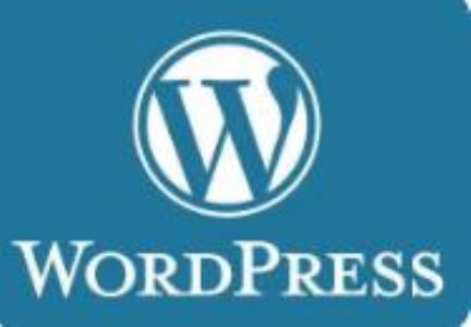 给你的WordPress网站提速优化服务